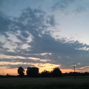 foto5